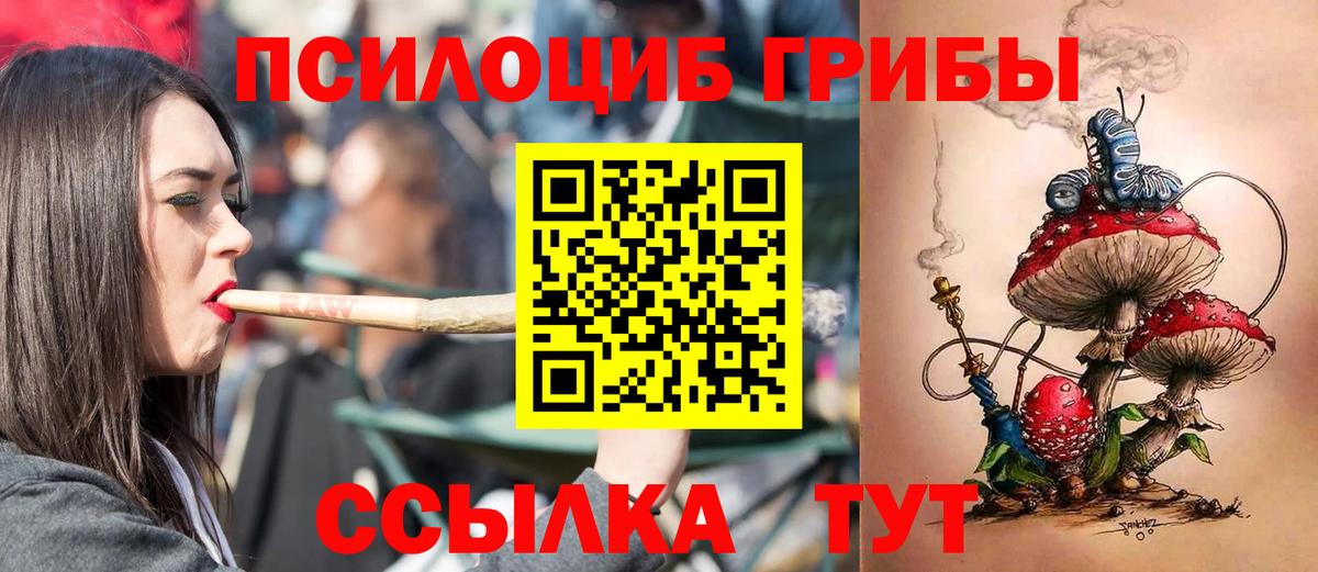 Псилоцибиновые грибы Psilocybe Сунжа