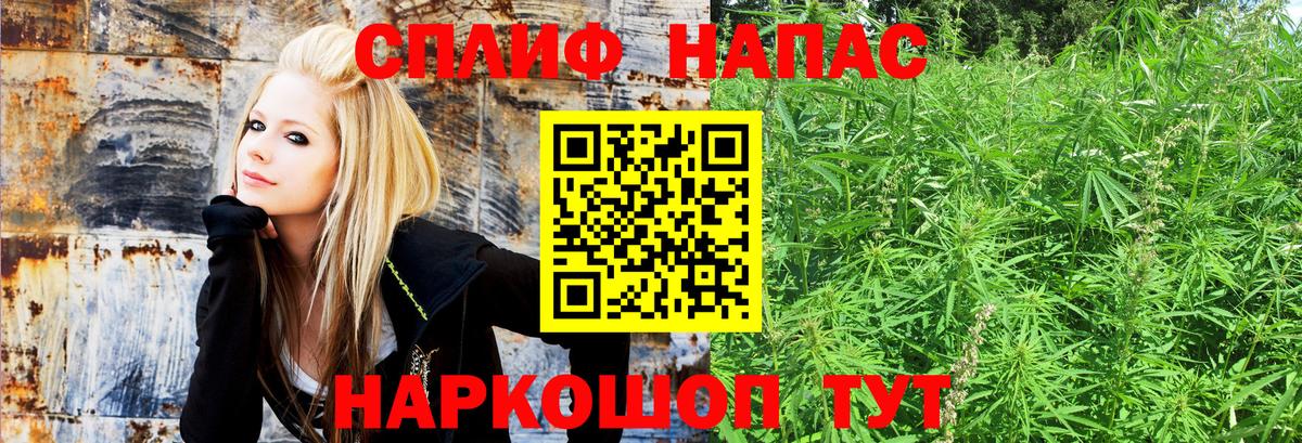 Каннабис конопля  Бошки Шишки LSD WEED  Сунжа  Вход с VPN  Бошки Шишки LSD WEED 
